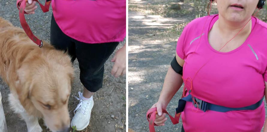 Denuncian a mujer que dejó suelto a su perro y este atacó a una persona en Parque Bicentenario