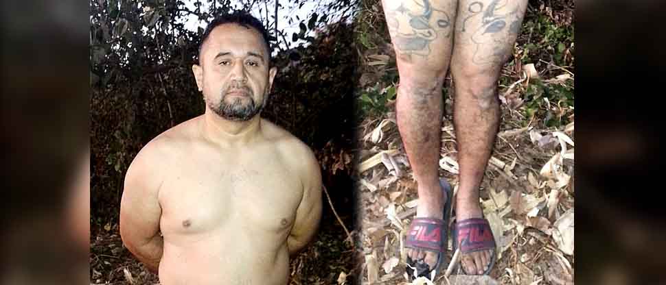 Capturan a “Chilate”, pandillero de la MS que intentó huir de la justicia