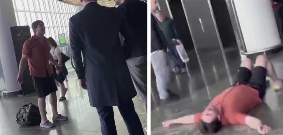 Aerolínea pierde a cuatro perros y el dueño rompe en llanto