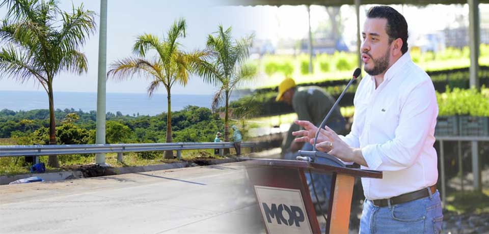 MOP lanza plan de reforestación para este 2023