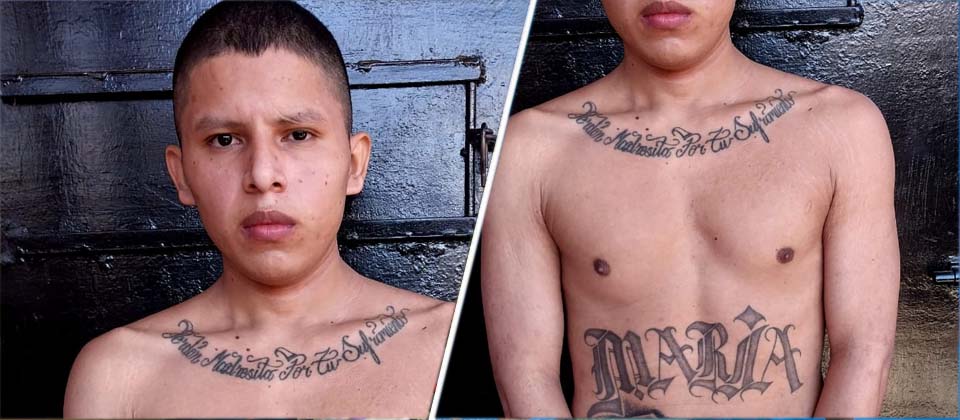 Pandillero pide «perdón» a su madre porque eligió ser pandillero