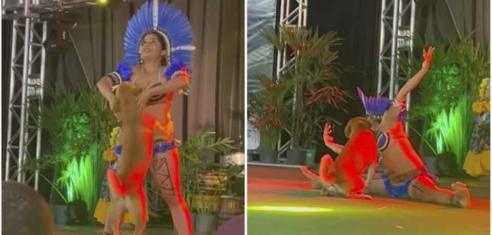 Perrito callejero se roba el show de una bailarina en Brasil