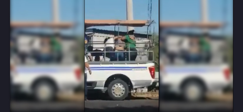 Graban a fuerte pleito entre mujeres en la cama de un pick up | VIDEO