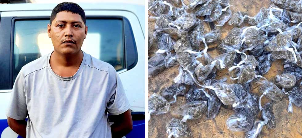 Capturan al “Paleta” con varias porciones de marihuana en La Libertad