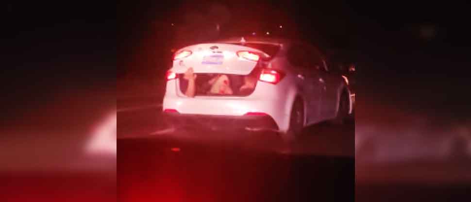 VIDEO: Captan vehículo con personas que viajan de manera imprudente dentro del baúl