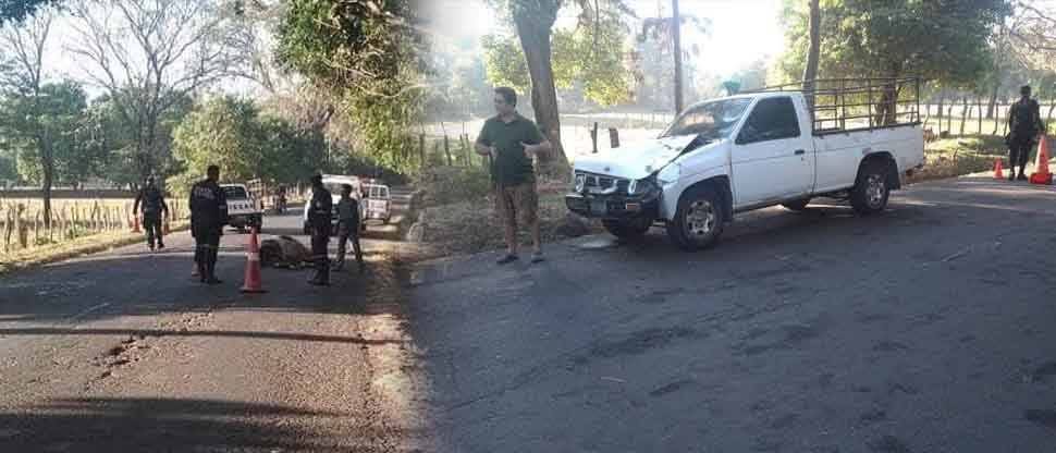 Conductor arrolla y acaba con la vida de una vaca en Usulután
