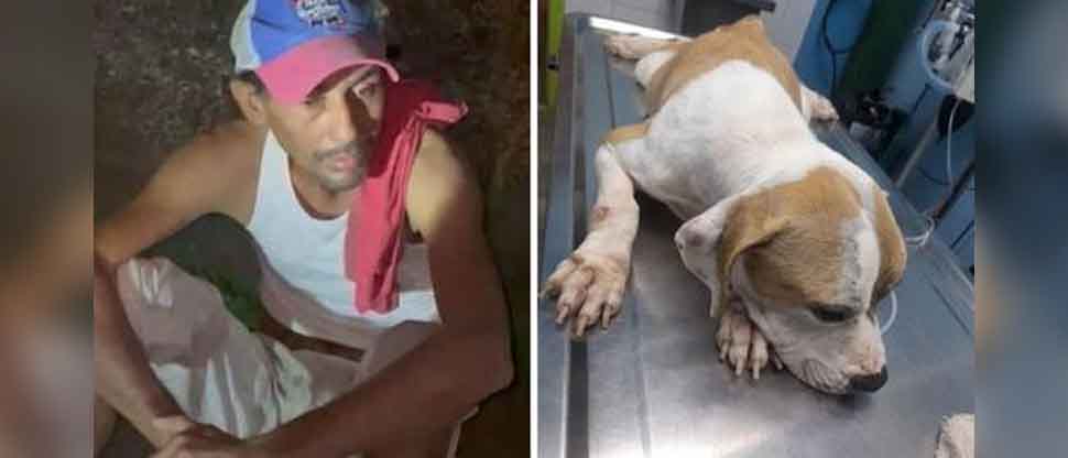 Capturan a hombre de 42 años que violó a una perrita