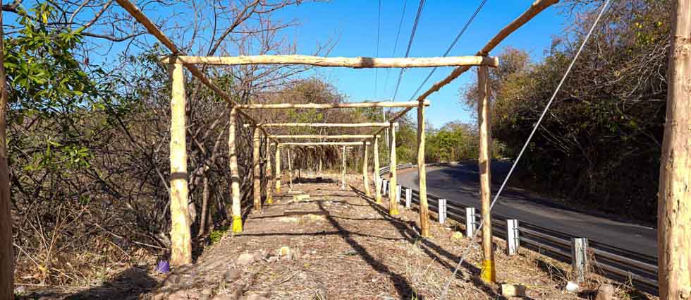 MARN retira asentamiento humano que construían en un Área Natural Protegida