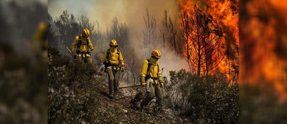 Dos brigadistas fallecen tras caer helicóptero mientras combatían un incendio forestal