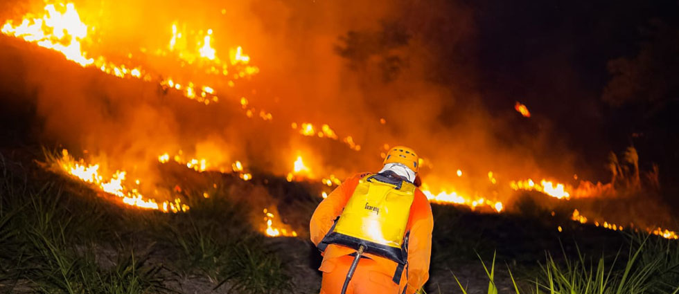 ¡Bomberos sofoca 30 incendios en las últimas 24 horas!