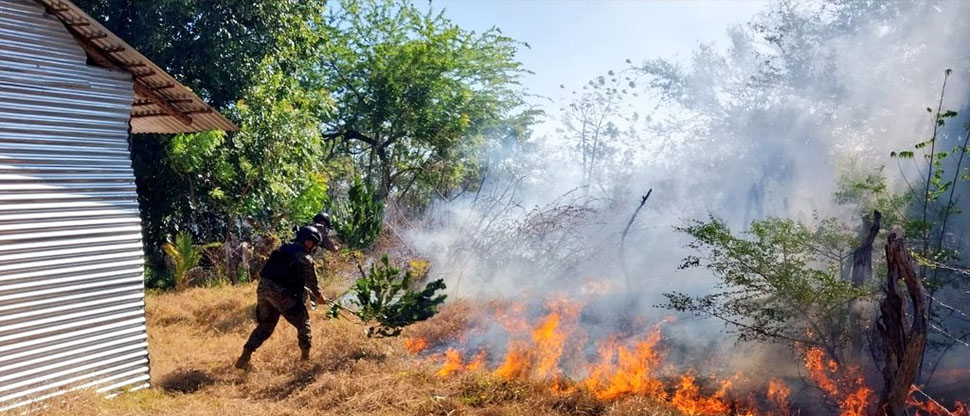 Extinguen incendio forestal que amenazaba con propagarse a viviendas en El Tamarindo