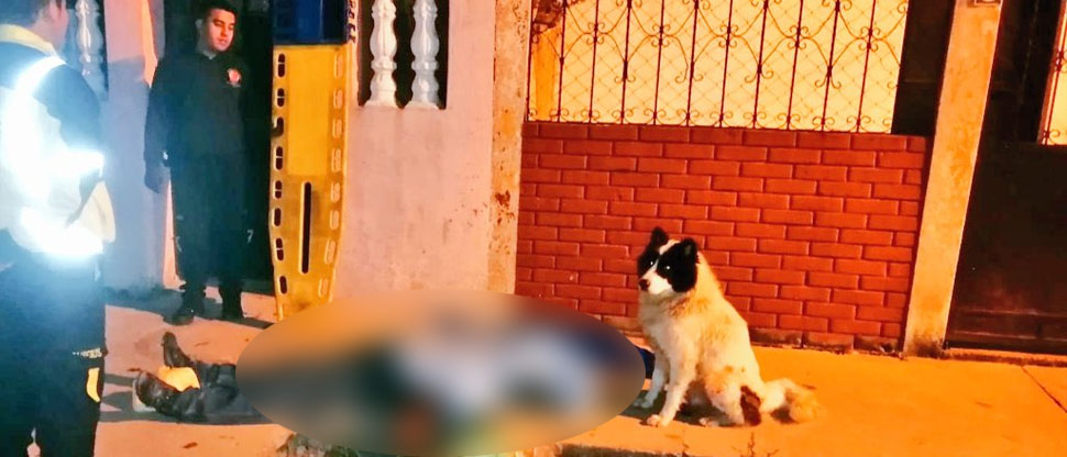 Perrito se queda varias horas junto al cadáver de su dueño tras ser asesinado en Guatemala
