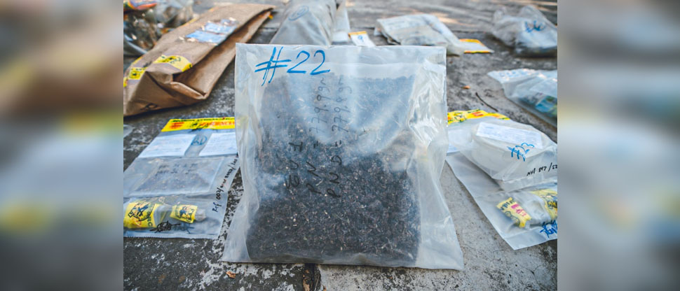 FGR verifica cantidad y valor comercial de droga que será destruída esta tarde 
