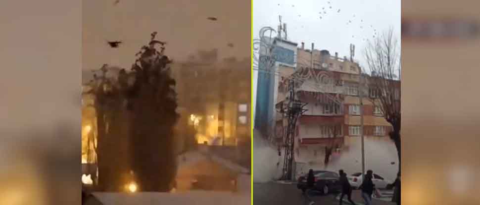 VIDEO: Captan extraño comportamiento de aves previo al potente terremoto en Turquía