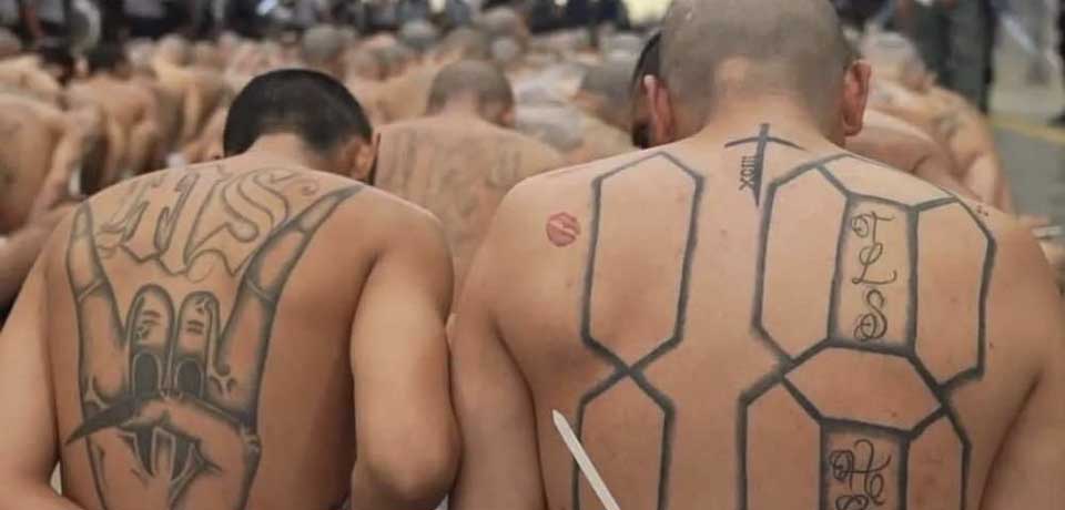 Durante el régimen de excepción se ha logrado capturar a 1,201 cabecillas