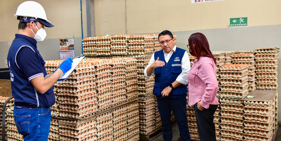 Defensoría inspecciona a comercializadoras de huevos para garantizar estabilidad de precios