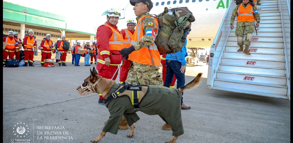 Perros entrenados de El Salvador apoyarán en labores de rescate en Turquía