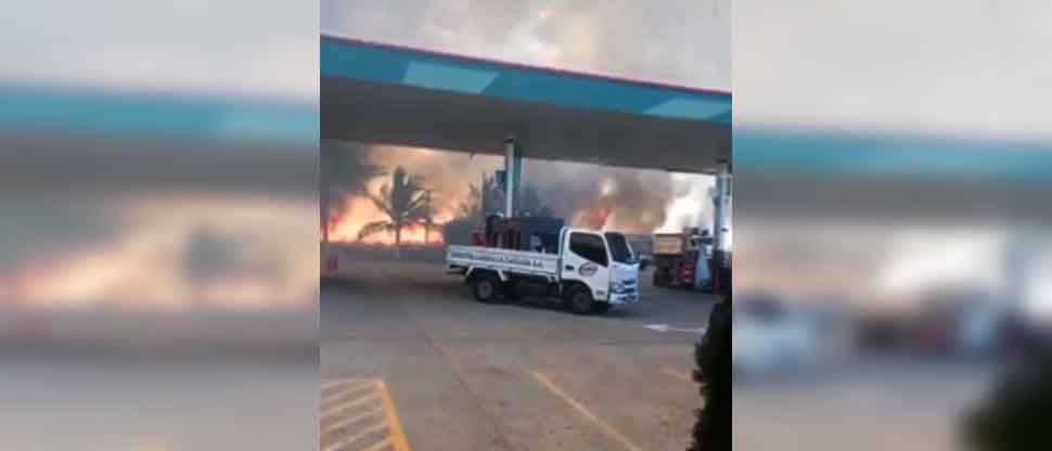 VIDEO: Incendio en maleza pone en riesgo una gasolinera ubicada en carretera Litoral