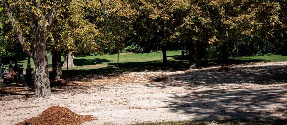 Hallan el cuerpo sin vida de una mujer en un parque de París