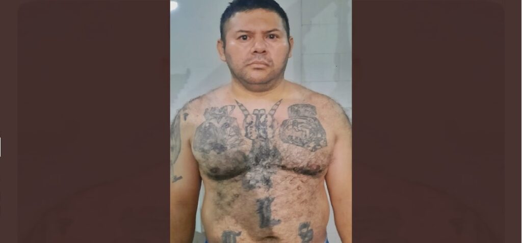 Capturan a alias Peligro, miembro de la MS que pretendía ocultarse de la justicia