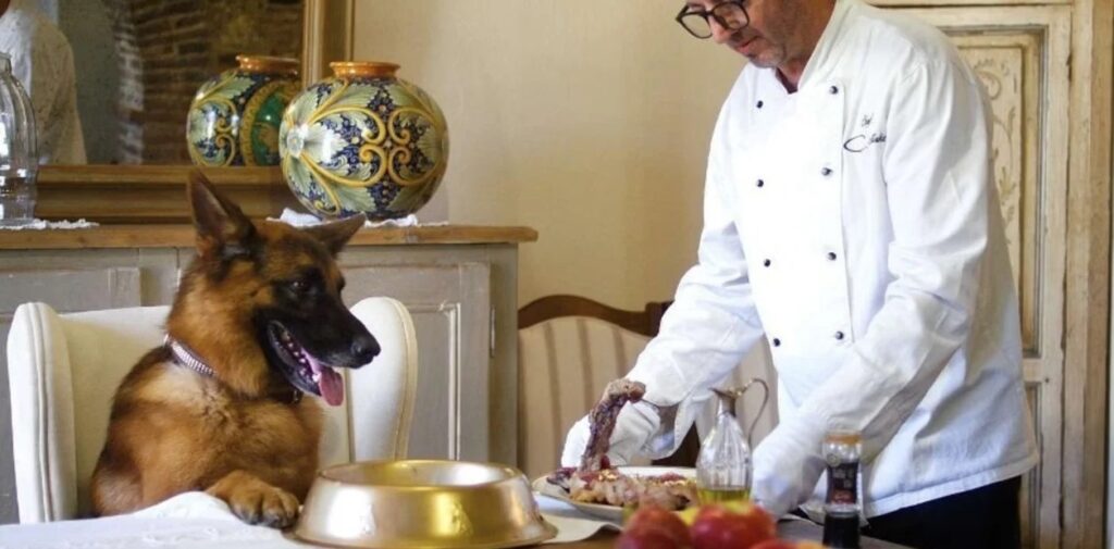 La historia de Gunther, el perro más rico del mundo: Vive en una mansión y tiene chef privado