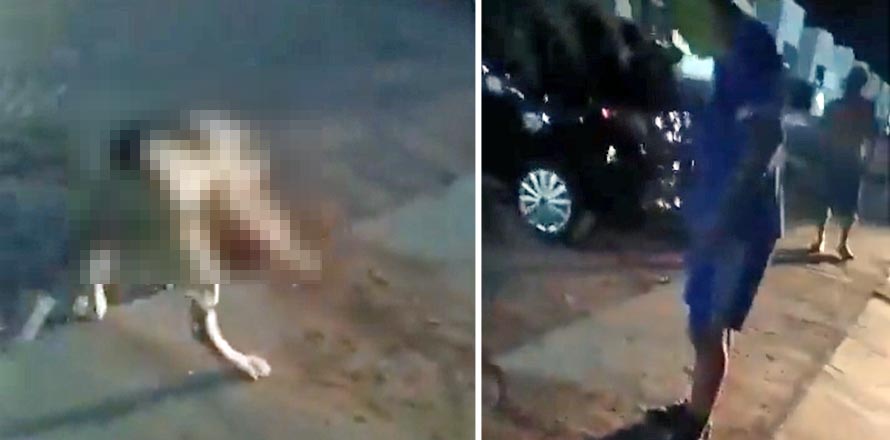 VIDEO| Perro pitbull atacó hasta acabar con la vida de otro y el dueño no hizo nada