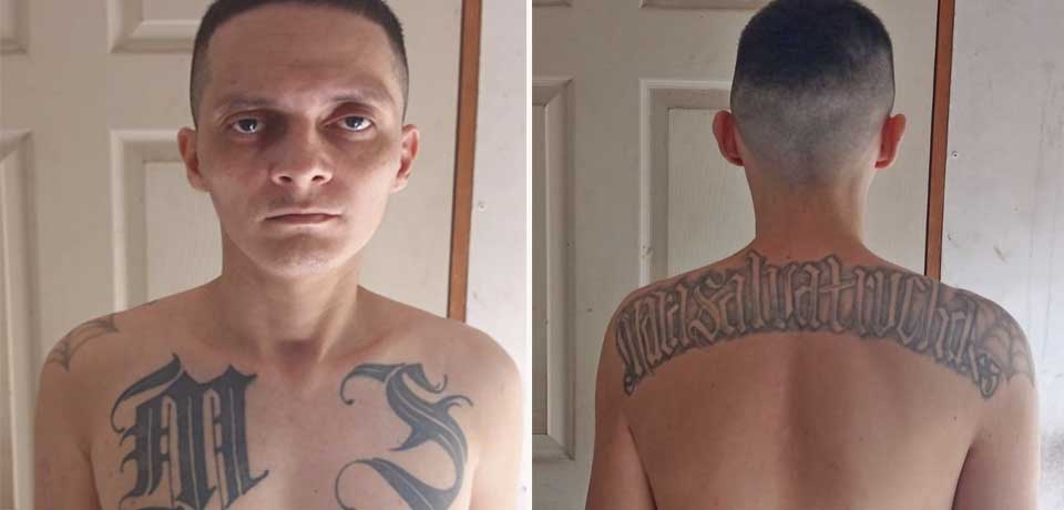 Recapturan a temido miembro de la MS al salir del penal en San Miguel
