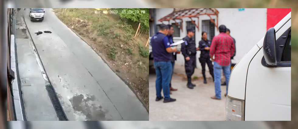Sancionarán a responsables del accidente y propietarios de perritos arrollados en Santa Ana
