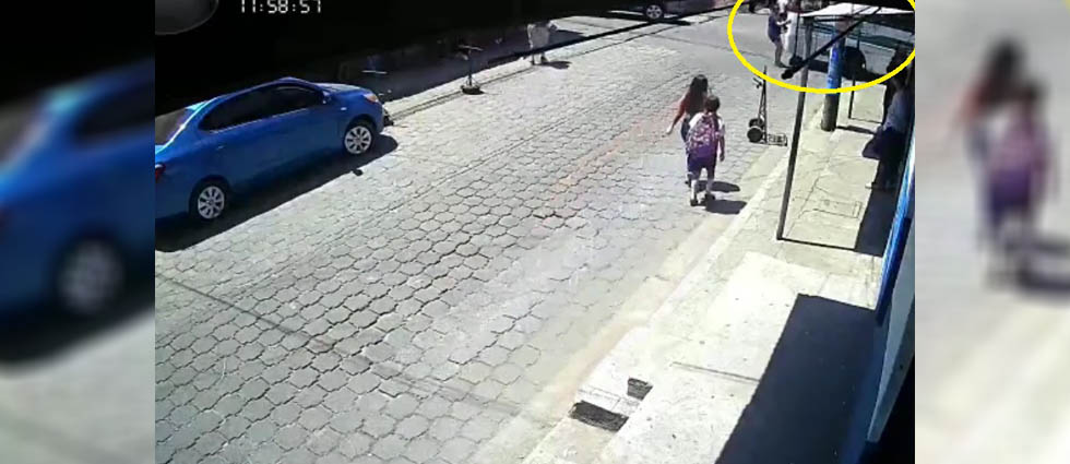 Arrestan a conductor de la Ruta 109 que por ver su celular arrolló a una mujer