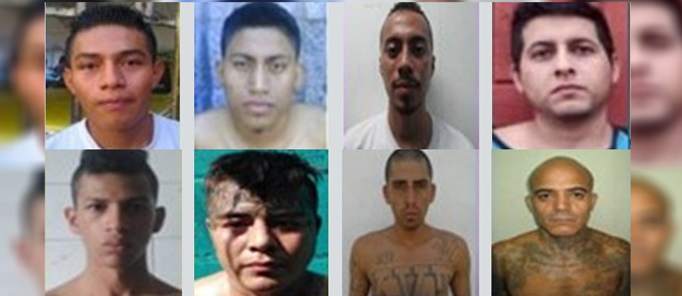 Fiscalía gira 95 órdenes de captura contra pandilleros del Barrio 18 que operaban en San Martín