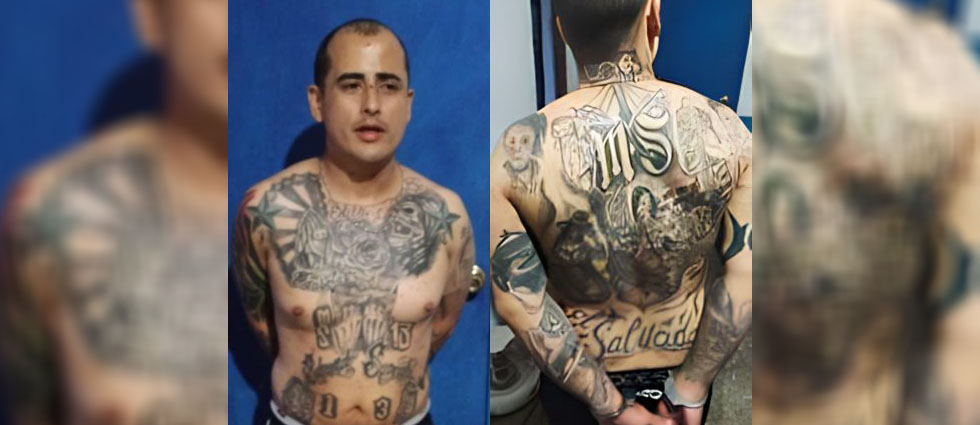 Capturan a gatillero de la MS-13 que asesinaba por órdenes de los cabecillas