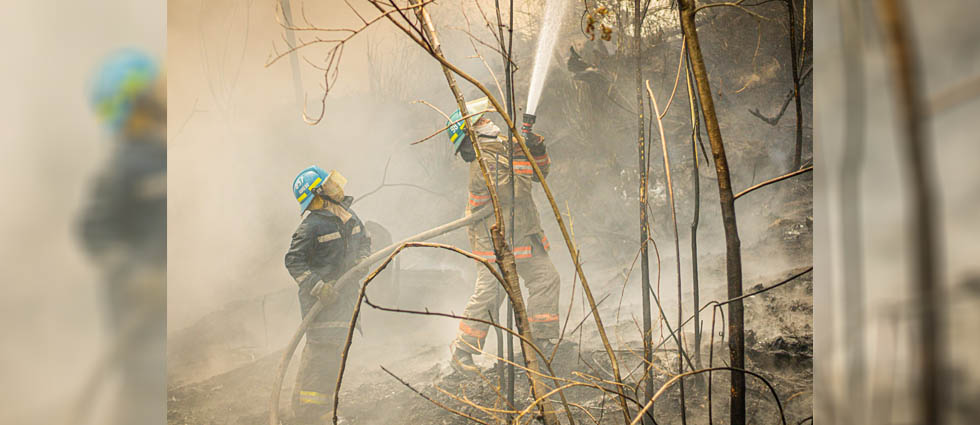 Bomberos sofocan voraz incendio en terreno con llantas en desuso y partes de vehículos