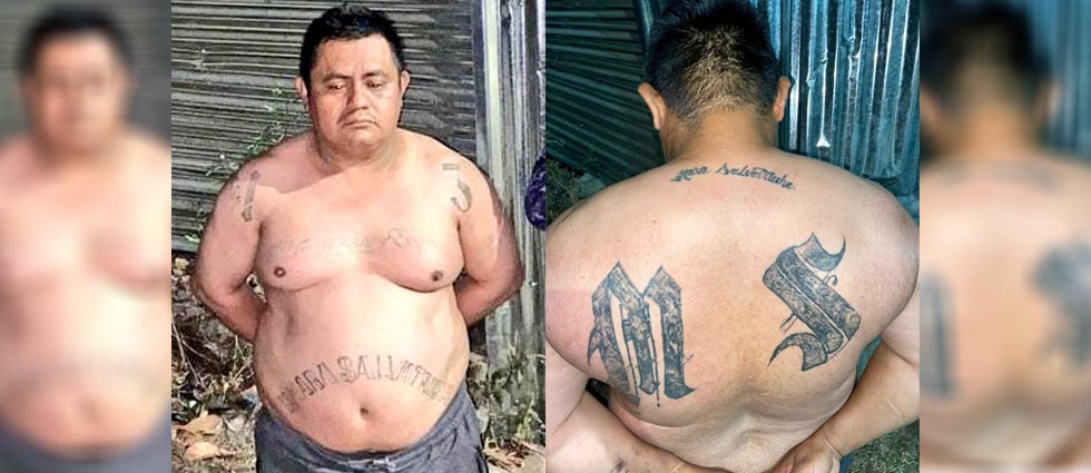 Militares arrestan a MS-13 que se dedicaba distribuir droga