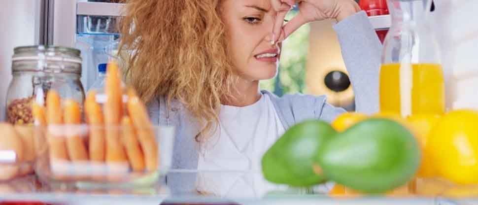 Según expertos, este es el tiempo que se debe dejar comida en el refrigerador