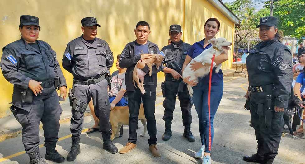 Realizan campaña de esterilización de perros y gatos en Santiago Nonualco