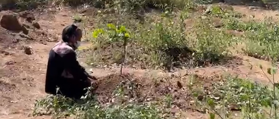 “Yo me voy contigo” dice mujer llorando frente a fosa donde yace el cadáver de su hija en Guatemala