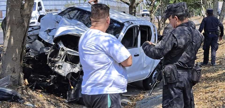 Conductor fallece de inmediato tras estrellarse contra un árbol