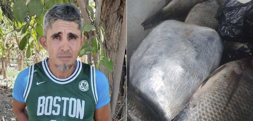 Sorprenden a sujeto que  transportaba un kilo de marihuana en una hielera con pescados