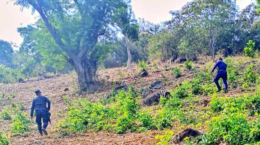 Policías recorren cerros en busca de pandilleros que se esconden del régimen de excepción