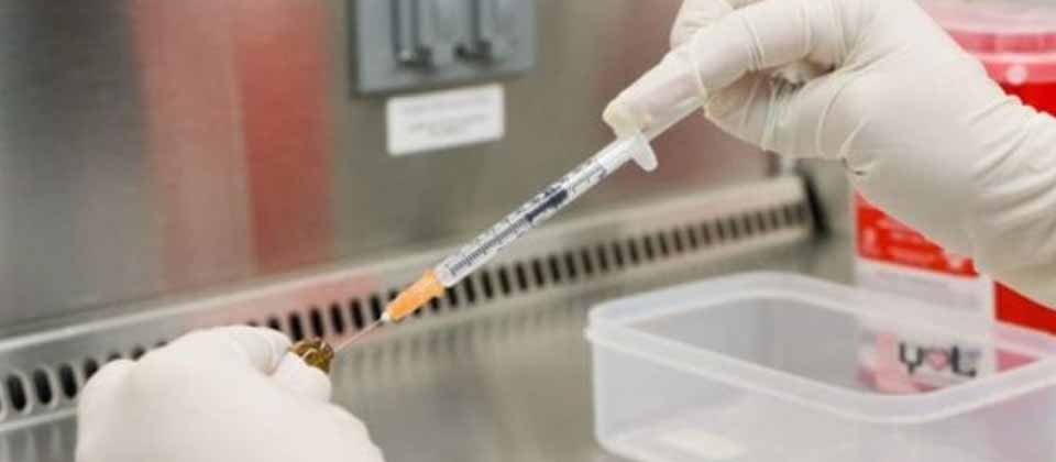 Confirman primera mujer curada del VIH