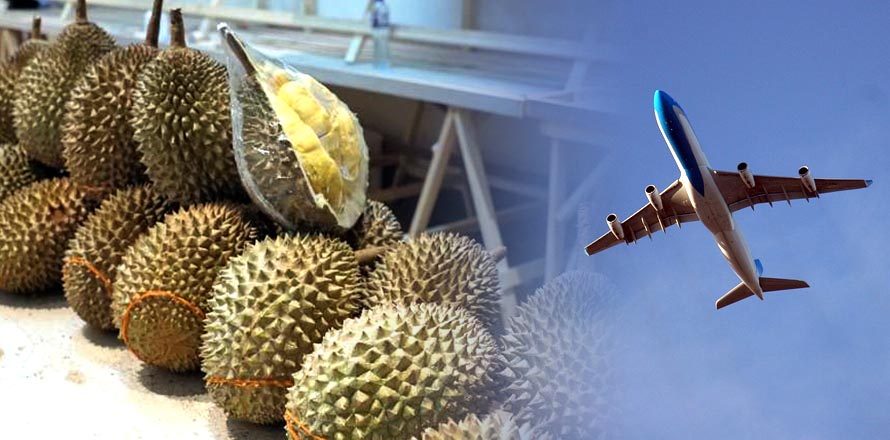 El fuerte olor de una fruta obligó al capitán de un avión regresar al aeropuerto y aterrizar la nave