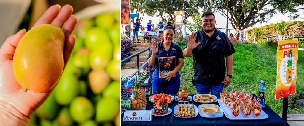 El próximo fin de semana se celebrará la Expo Mango y el Festival de la Piña: Esto es todo lo que debes saber