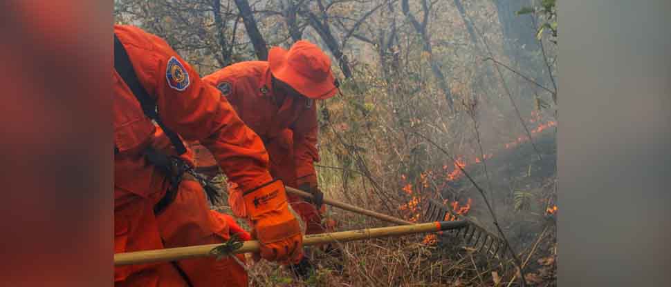 Bomberos controlan incendio en maleza seca caserío El Tigrillo, Chalatenango