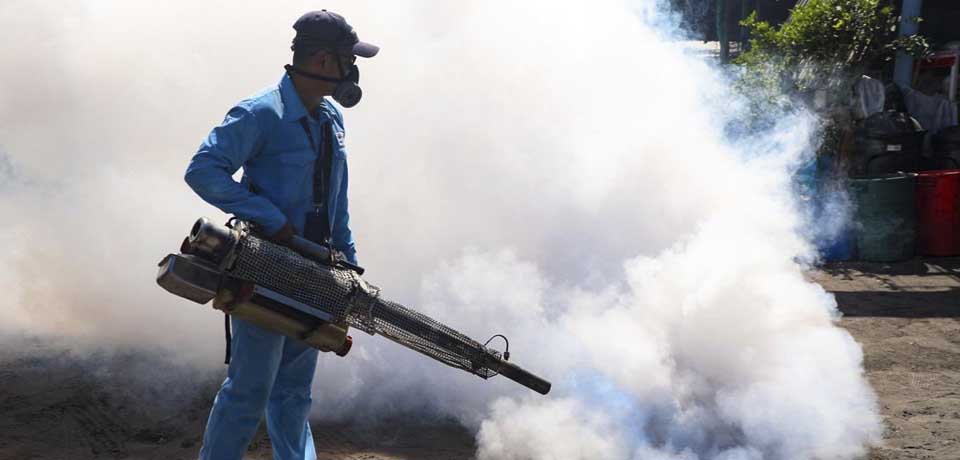 Realizan jornada de fumigación en la playa El Majahual