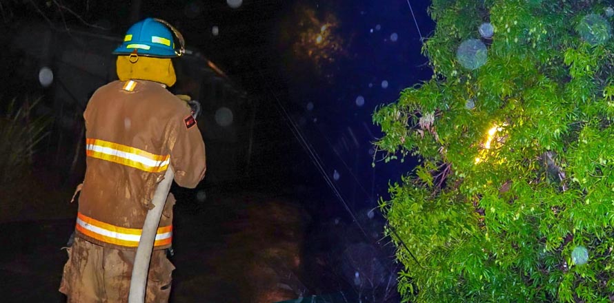 Árbol hace contacto con cables del tendido eléctrico y provoca conato de incendio en Chalatenango