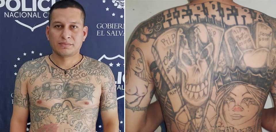 Capturan a peligroso MS que intentó tapar sus tatuajes para evitar la cárcel