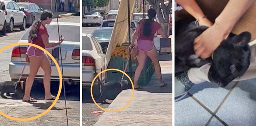 Captan a mujer paseando con una pantera en plena ciudad