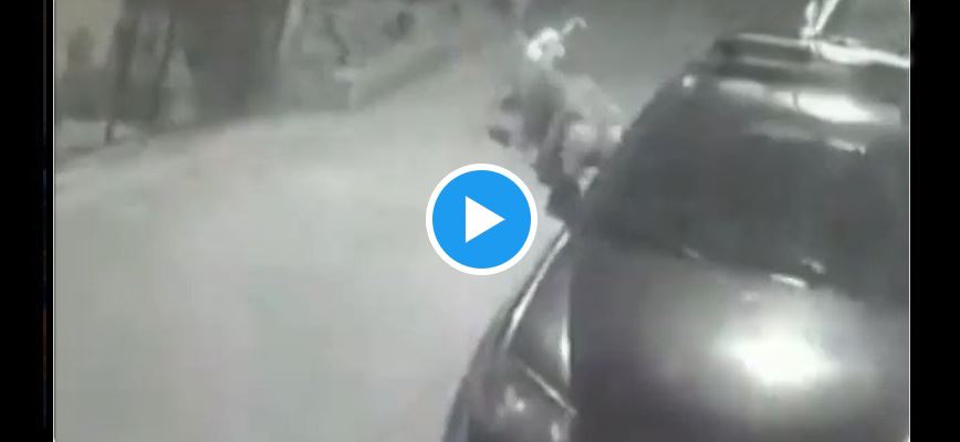 Denuncian a dueños de perros agresivos que los dejan salir a la calle: VIDEO
