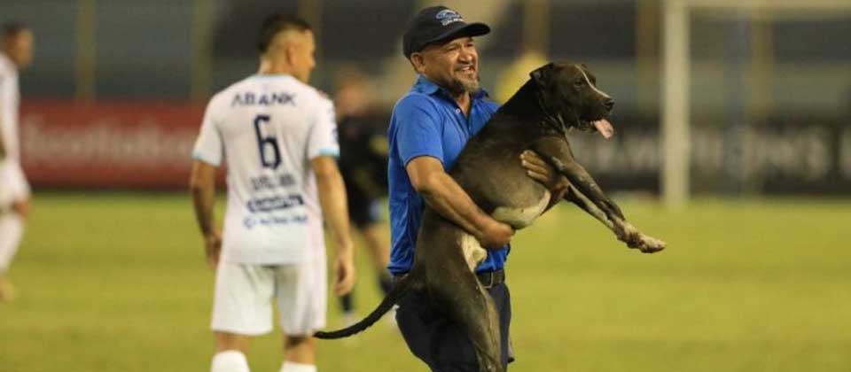 Perro que ingresó al estadio Cuscatlán estaba perdido y ya se encuentra con su dueño