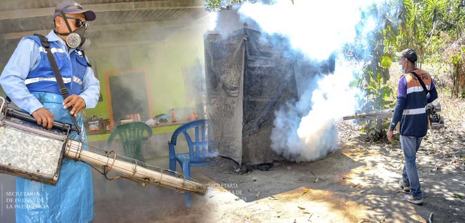 Realizan jornada de fumigación contra el zancudo transmisor del dengue en La Libertad